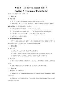 《Unit 5 Do you have a soccer ball Section A Grammar focus 3a-3c》教案2-七年级上册新课标英语【人教版】