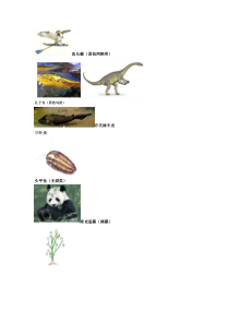 北师大版生物八年级下册（素材10份可预览）