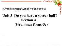 《Unit 5 Do you have a soccer ball Section A Grammar focus-3c》教学课件1-七年级上册新目标英语【人教版】