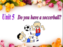 《Unit 5 Do you have a soccer ball Section A Grammar focus 3a-3c》课件-七年级上册新目标英语【人教版】