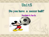 人教新目标版英语七年级上册《Unit 5 Do you have a soccer ball Section A Grammar focus 3a-3c》PPT课件1