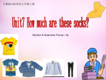 人教新目标版英语七年级上册《Unit 7 How much are these socks Section A Grammar focus 3a-3c》PPT课件2