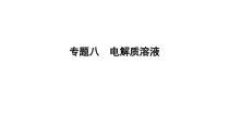 高考化学二轮复习专题突破课件专题八 电解质溶液 (含解析)