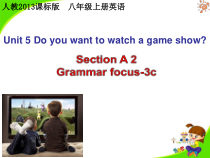 《Unit 5 Do you want to watch a game show》PPT课件2-八年级上册新目标英语【人教版】