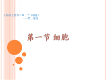 《第一节 细胞》PPT课件1-北京版生物七年级上册