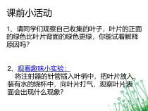 《第二节 绿色植物的光合作用》PPT课件1-北京版生物七年级上册