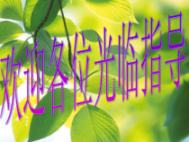 《第一节 绿色植物的生活需要水和无机盐》PPT课件5-北京版生物七年级上册