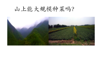 《第二节 绿色植物的光合作用》PPT课件2-北京版生物七年级上册