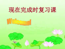 《现在完成时复习课 Section A Grammar focus 4a-4c》PPT课件5-八年级下册新目标英语【人教版】