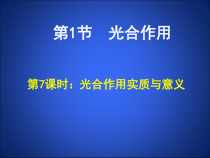 《第二节 绿色植物的光合作用》PPT课件4-北京版生物七年级上册