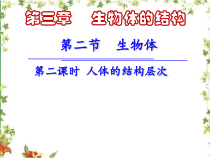 《第二节 生物体》PPT课件4-北京版生物七年级上册