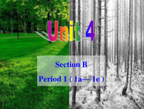 《Unit 4 I used to be afraid of the dark Section B 1a-1e》PPT课件8-九年级全一册英语【人教新目标版】