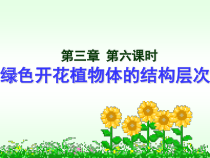 《第二节 生物体》PPT课件2-北京版生物七年级上册