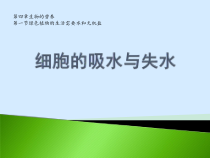 《第一节 绿色植物的生活需要水和无机盐》PPT课件4-北京版生物七年级上册