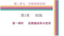 《第一节 细胞》PPT课件3-北京版生物七年级上册