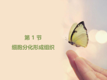 《第一节 细胞》PPT课件4-北京版生物七年级上册
