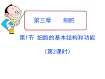 《第一节 细胞》PPT课件5-北京版生物七年级上册