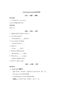 Unit 2 Topic 2《What color is his hair》（SectionD）学案-七年级上册英语【仁爱版】