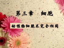 《第一节 细胞》PPT课件2-北京版生物七年级上册