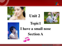 Unit2__Topic1__SectionA精品课件-仁爱版英语七年级上册
