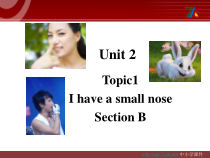Unit2__Topic1__SectionB精品课件-仁爱版英语七年级上册