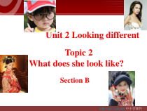 Unit2__Topic2__SectionB精品课件-仁爱版英语七年级上册
