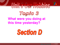 （最新版）Unit3__Topic3__SectionD参考课件-八年级上册英语【仁爱版】