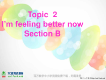 SectionB参考课件-八年级下册英语【仁爱版】