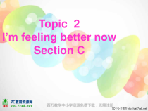 SectionC参考课件-八年级下册英语【仁爱版】
