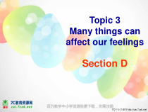 SectionD__参考课件-八年级下册英语【仁爱版】
