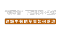 新零售下互联网生鲜解决方案综述课件
