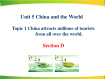 unit5_topic1_sectiond_精品课件-九年级下册英语【仁爱版】
