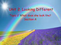 《Unit 2 Topic 2 What does she look like》教学课件2-七年级上册英语仁爱（科普版）