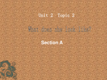 《Unit 2 Topic 2 What does she look like》教学课件6-七年级上册英语仁爱（科普版）