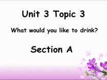 《Unit 3 Topic 3 What would you like to drink》教学课件9-七年级上册英语仁爱（科普版）