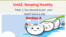 《Unit 2 Topic 1 You should brush your teeth twice a day》教学课件2-八年级上册英语仁爱（科普版）