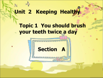 《Unit 2 Topic 1 You should brush your teeth twice a day》教学课件4-八年级上册英语仁爱（科普版）