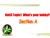 《Unit 3 Topic 1 What's your hobby》PPT课件10-八年级上册英语仁爱（科普版）