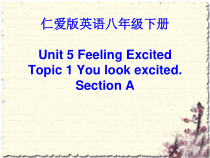 仁爱（科普版）英语八下《Unit 5 Topic 1 You look excited》课件7