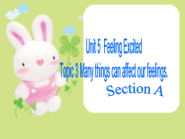 仁爱（科普版）英语八下《Unit 5 Topic 3 Many things can affect our feelings》教学课件1