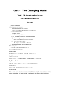 《Unit 1 Topic 1 Our country has developed rapidly》教案1-九年级上册英语仁爱（科普版）