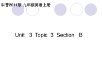 《Unit 3 Topic 3 Could you give us some advice on how to leran English well》课件1-九年级上册英语仁爱（科普版）