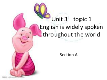 《Unit 3 Topic 1 English is widely spoken throughout the world》PPT课件6-九年级上册英语仁爱（科普版）