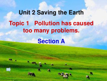 《Unit 2 Topic 1 Pollution has causes too many problems》课件2-九年级上册英语仁爱（科普版）