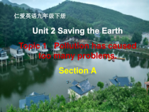 《Unit 2 Topic 1 Pollution has causes too many problems》PPT课件6-九年级上册英语仁爱（科普版）