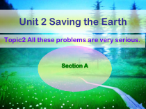《Unit 2 Topic 2 All these problems are very serious》PPT课件5-九年级上册英语仁爱（科普版）