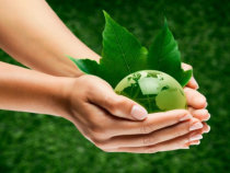 《Unit 2 Topic 3 What can we do at home to protect the environment》课件-九年级上册英语仁爱（科普版）