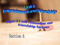 《Unit 6 Topic 3  Section A》PPT课件13-九年级下册英语仁爱（科普版）