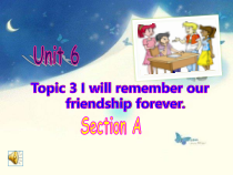 《Unit 6 Topic 3 Section A》PPT课件6-九年级下册英语仁爱（科普版）