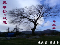 第4课《古代诗歌四首-天净沙·秋思》PPT课件9-七年级语文上册统编版